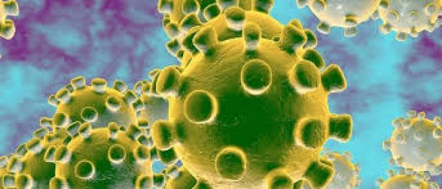 ಭಾರತದಲ್ಲಿ 17,296 ಕೊರೋನಾ ಸೋಂಕಿನ ಪ್ರಕರಣಗಳು ಪತ್ತೆ